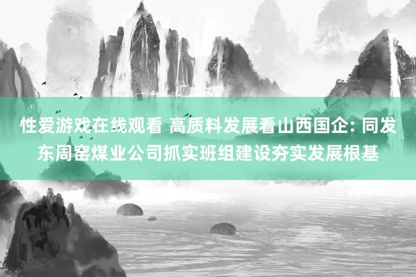 性爱游戏在线观看 高质料发展看山西国企: 同发东周窑煤业公司抓实班组建设夯实发展根基