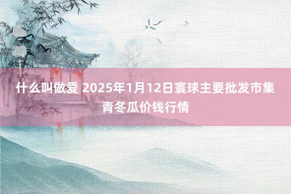 什么叫做爱 2025年1月12日寰球主要批发市集青冬瓜价钱行情