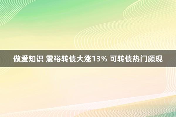 做爱知识 震裕转债大涨13% 可转债热门频现