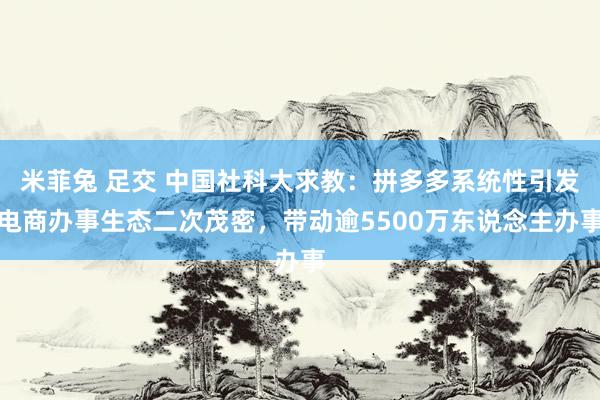 米菲兔 足交 中国社科大求教：拼多多系统性引发电商办事生态二次茂密，带动逾5500万东说念主办事