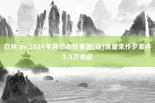 白丝 av 2024年共侦办妨害国(边)境管束作歹案件3.5万余起