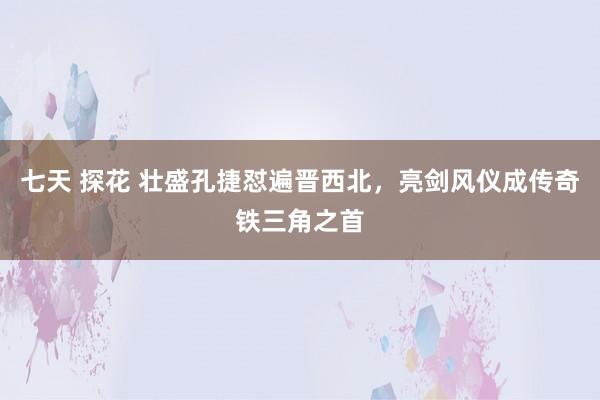 七天 探花 壮盛孔捷怼遍晋西北，亮剑风仪成传奇铁三角之首