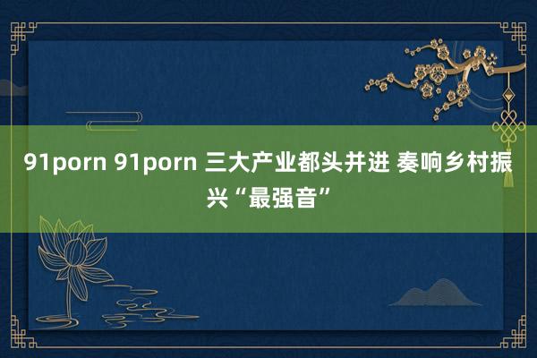 91porn 91porn 三大产业都头并进 奏响乡村振兴“最强音”